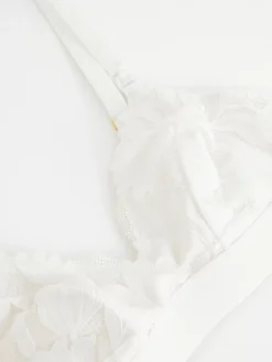 Bh><noscript><img width=
