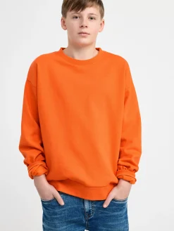 Tröjor & Cardigans>Lindex Sweatshirt Med Borstad Insida Orange