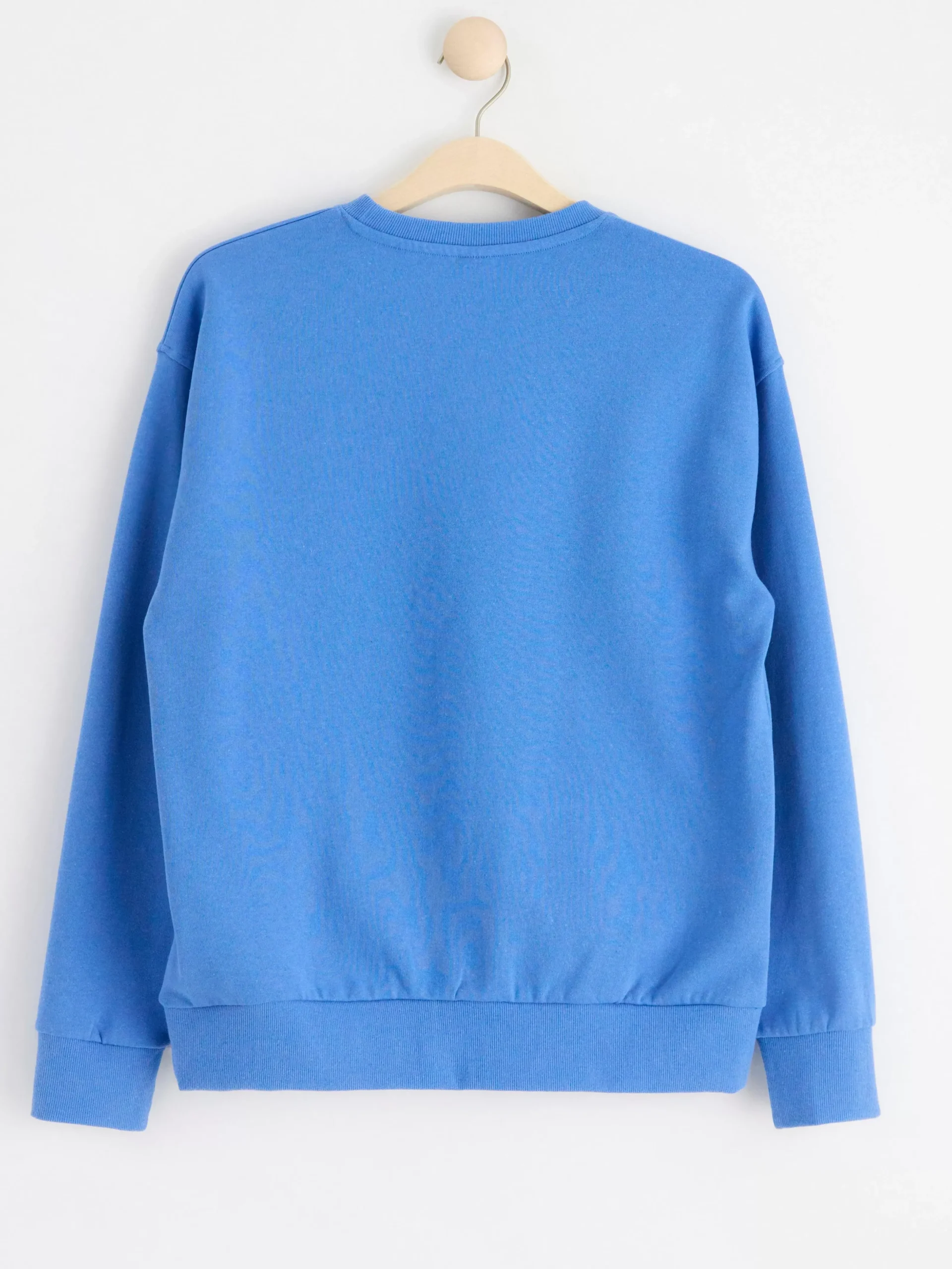 Tröjor & Cardigans>Lindex Sweatshirt Med Borstad Insida Blue