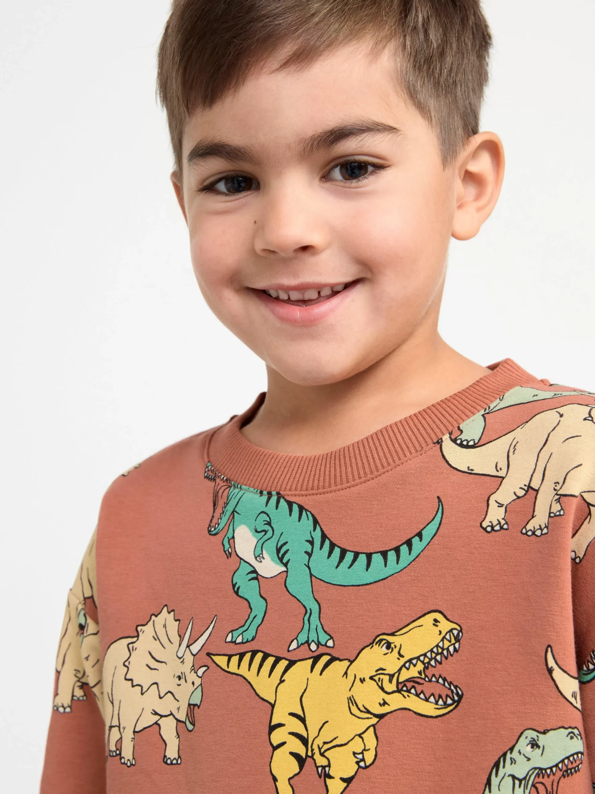 Tröjor & Cardigans>Lindex Sweatshirt Med Dinosaurier Och Borstad Insida Dark Dusty Pink