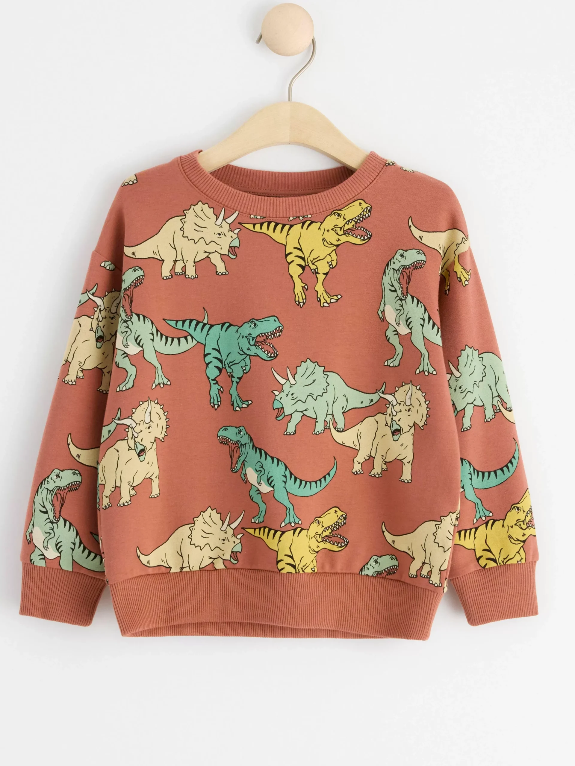 Tröjor & Cardigans>Lindex Sweatshirt Med Dinosaurier Och Borstad Insida Dark Dusty Pink