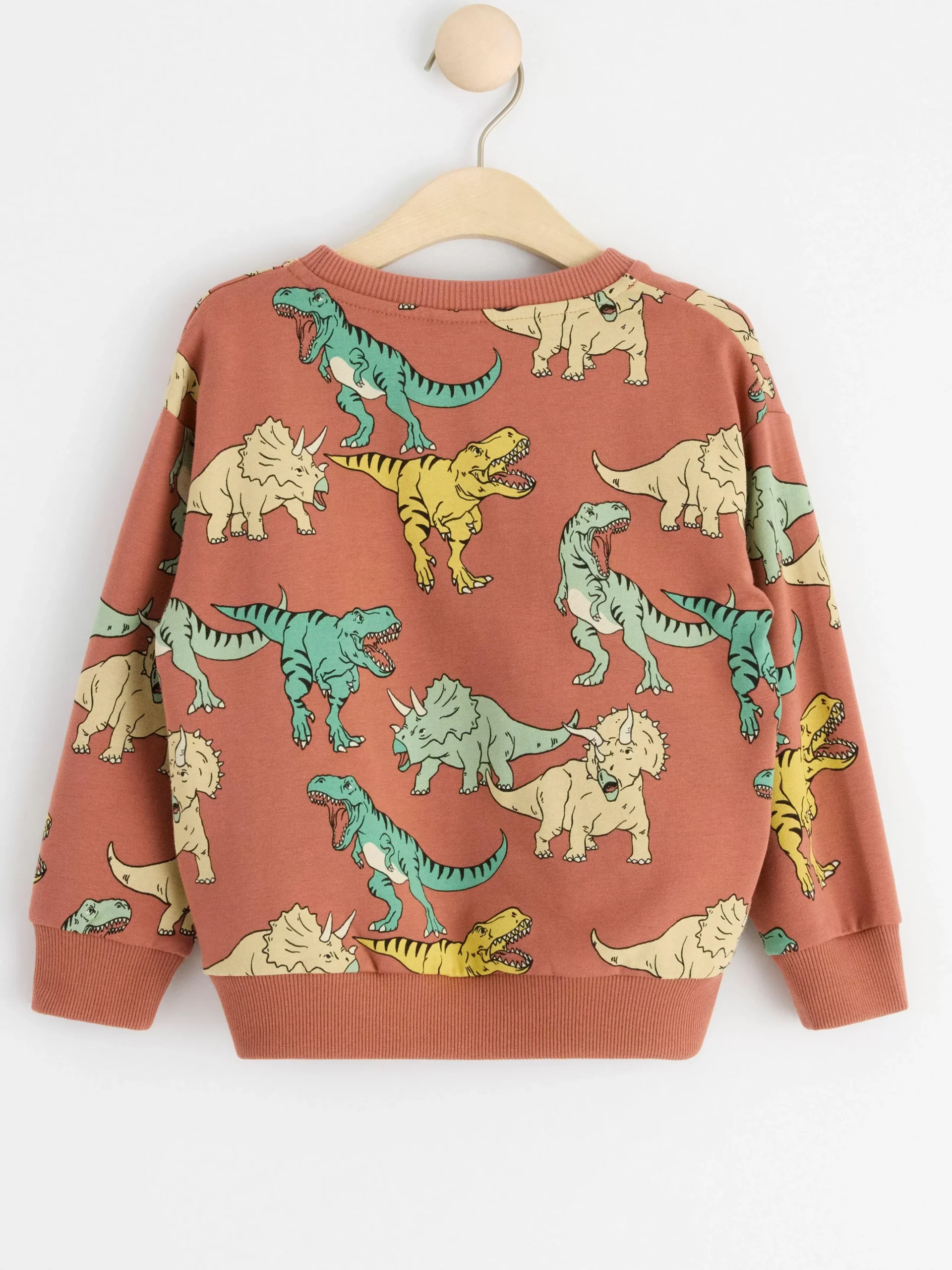 Tröjor & Cardigans>Lindex Sweatshirt Med Dinosaurier Och Borstad Insida Dark Dusty Pink